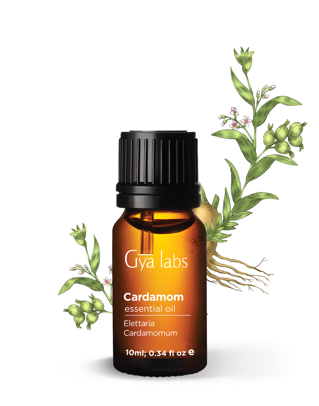 Gyalabs Cardamon Essential Oil