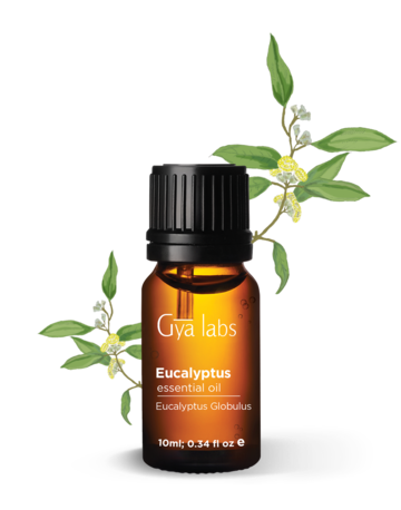 Gyalabs Eucalyptus Essential Oil