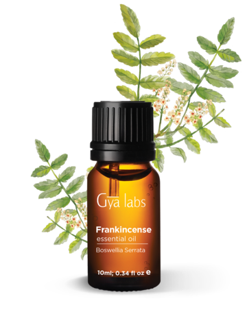 Gyalabs Frankincense Essential Oil