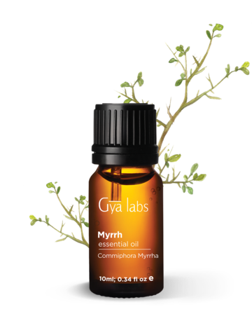 15 Myrrh Essential Oil Uses and Benefits. What is Myrrh Used For?  Myrrh  essential oil, Essential oil benefits, Essential oils herbs