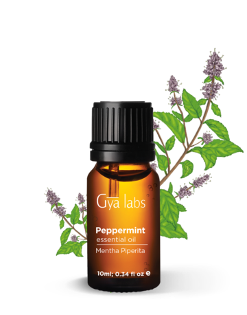 Peppermint Oil For Hair: A Research-Backed Guide To Benefits And Usage -  PharmEasy Blog