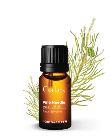 Gyalabs Pine Needle Essential Oil