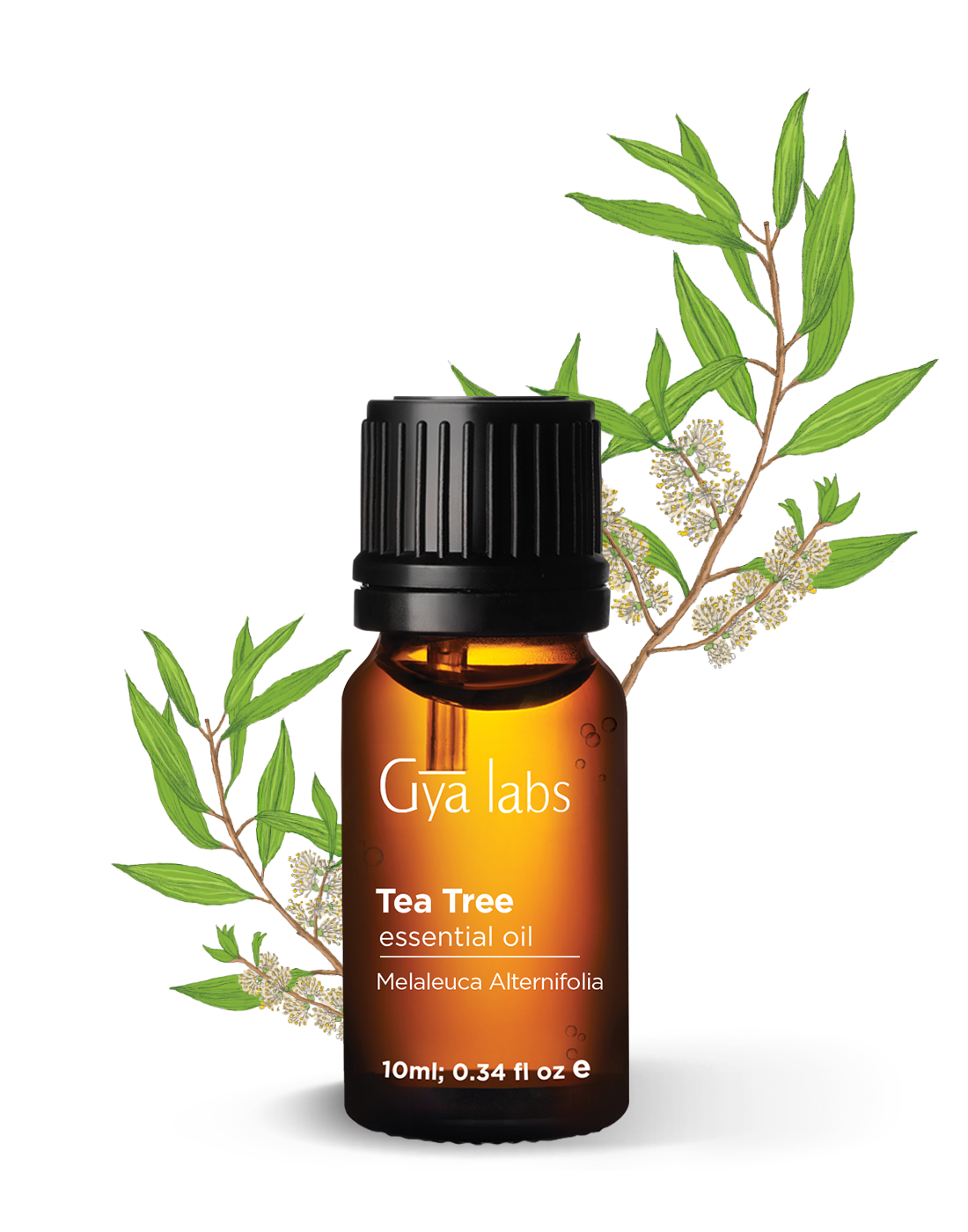 Benefits & Uses of Tea Tree Oil for Skin, Hair & Aromatherapy