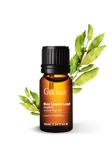 Organic Bay Laurel Leaf Essential Oil