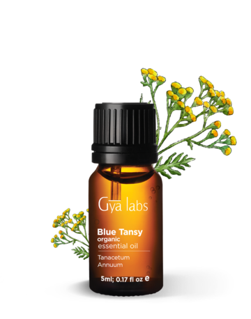 Blue Tansy Essential Oil