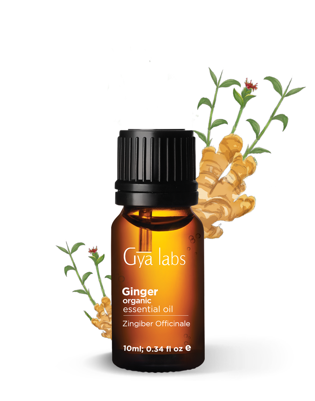 Organic Ginger Essential Oil