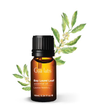 Gyalabs Bay Laurel Leaf Essential Oil