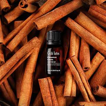 Cinnamon Cassia Essential Oil for Skin and Hair, Therapeutic Grade