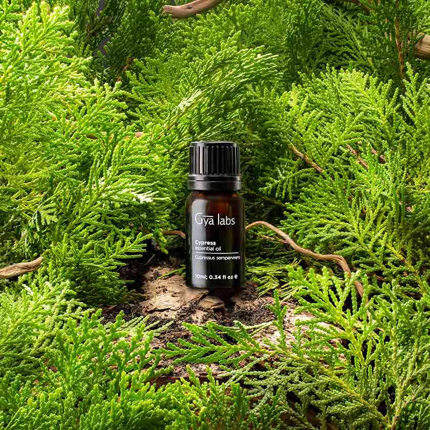 About This Product Image