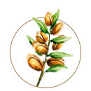 ingredient image