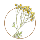 ingredient image