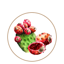 ingredient image