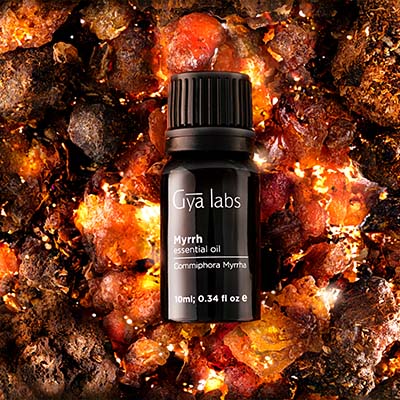 Gya Labs Myrrh Essential Oil for Skin & Diffuser - 100% Natural Myrrh Oil  for Gums, Teeth, Face, Nails & Myrrh Oil Essential Oil for Candle Making 