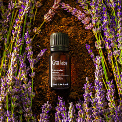 Gya Labs Lavender Oil Essential Oil for Diffuser - 100% Natural Lavender  Oil Essential Oils for Skin, Lavender Essential Oil for