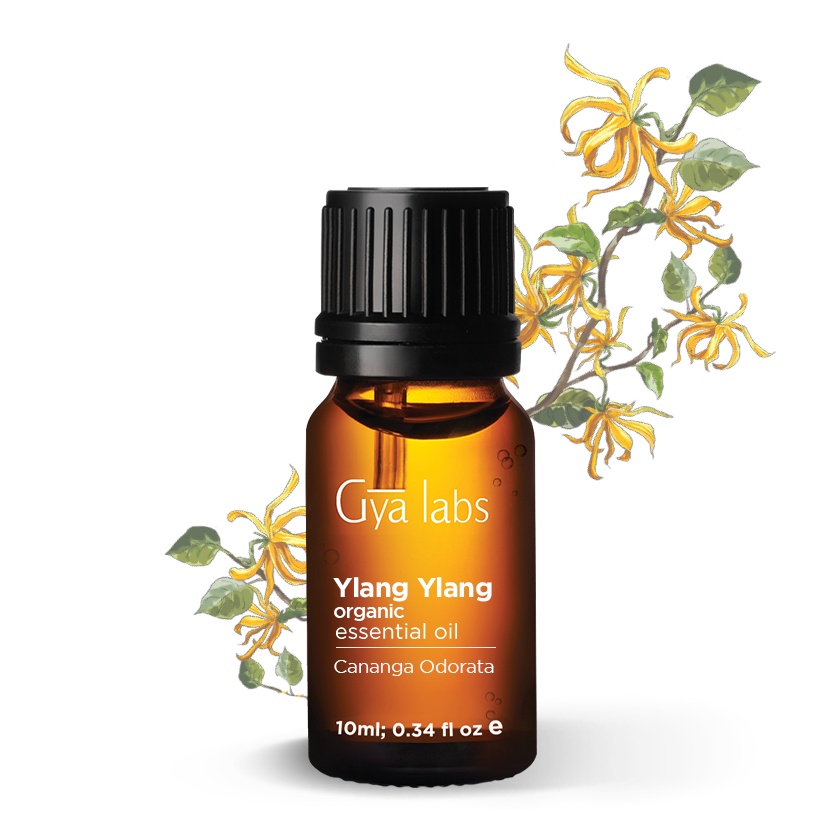 About This Product Image