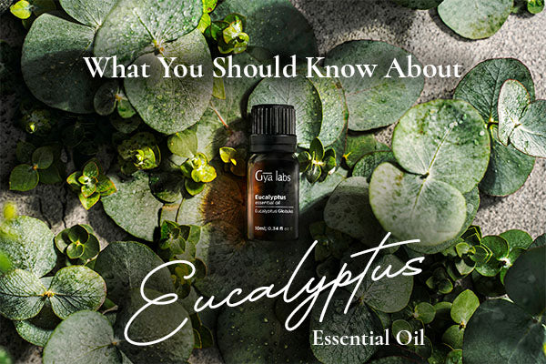 eucalyptus oil