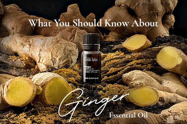 Know the Benefits of Ginger Oil for Hair - Mirah Belle