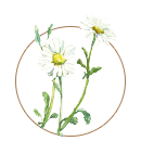 ingredient image