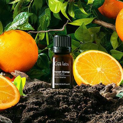 Shop Gya Labs' Sweet Orange Essential Oil: Experience the Citrus Bliss