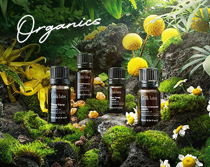 Gya Labs 100% Pure Natural Vanilla Essential Oil for Diffuser, Skin - Long  Lasting Aromatherapy Vanilla Bean Perfume Oil (0.34 fl oz)