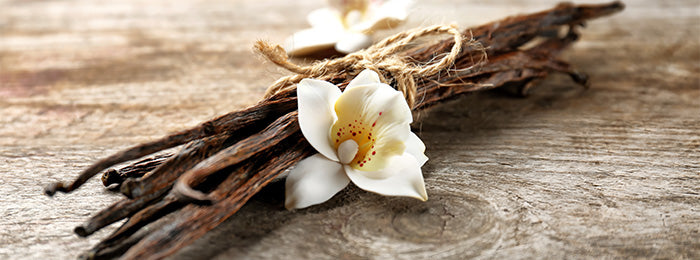 Pure Vanilla Essential Oil, Vanilla planifolia, Hands of the Heart