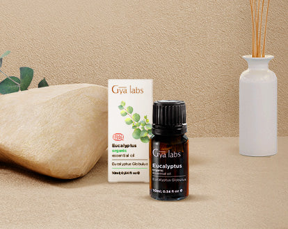 Let It Be Organically Organic Oils Kit