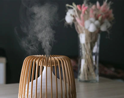An aroma diffuser in the room