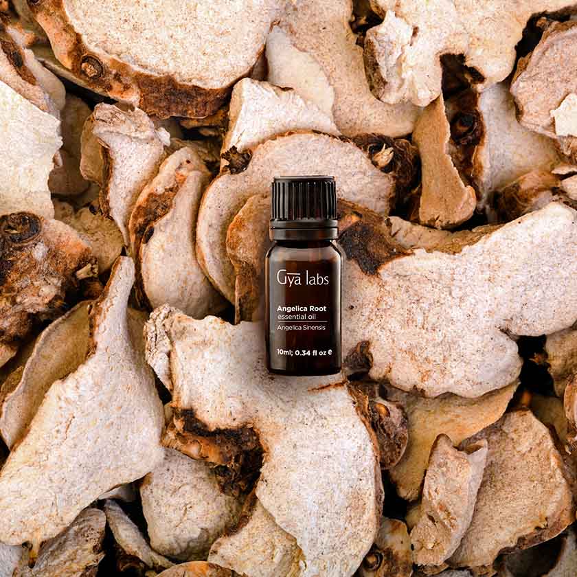 About This Product Image