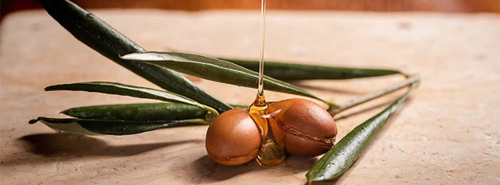Argan Oil : Benefits, Uses, Side Effects, Concerns | Gyalabs