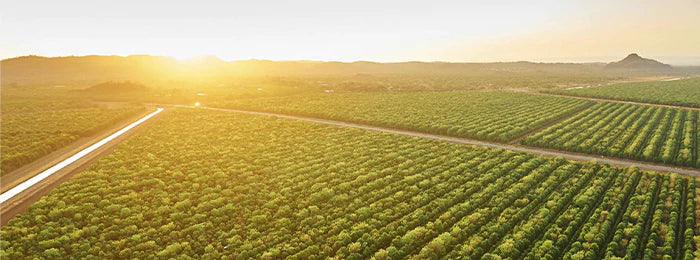 Green Field during daytime