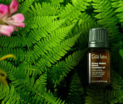 Gyalabs Stress Relief Essential Oil Blend