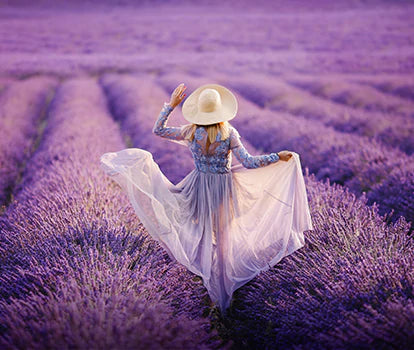 Benefits & Uses of Lavender Essential Oil for Skin, Hair, Aromatherapy