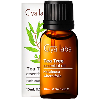 Tea Tree Essential Oil 10ml | Gya Labs - Get 15% off orders above US$7