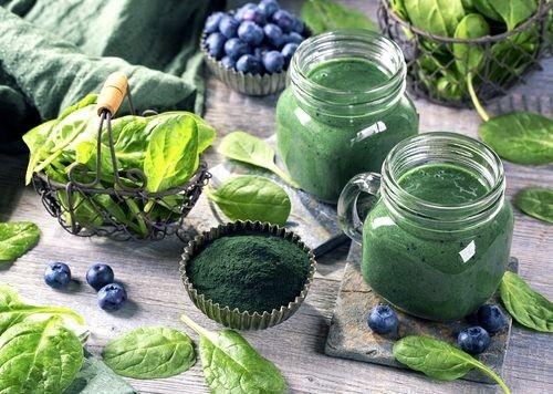 Breve historia de la Espirulina