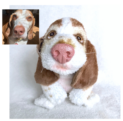 Custom Short Haired Dogs—Gallery – Original Sock Dogs
