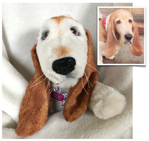 Custom Short Haired Dogs—Gallery – Original Sock Dogs