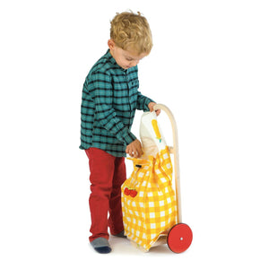 Pull Along Shopping Trolley Cart - Tender Leaf Toys Wooden Toys for kids