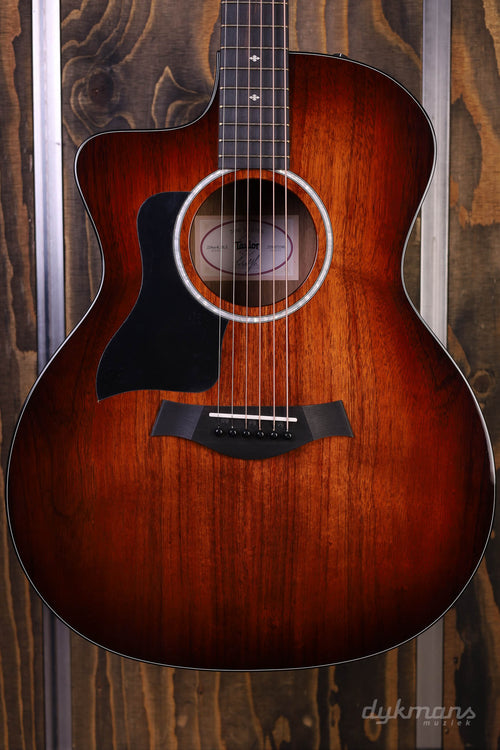 Taylor 224ce-K DLX Lefty