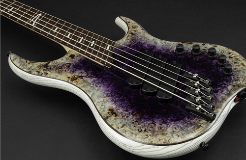 Dingwall Custom Shop Z3X-5 Burl Maple Purple to Naturel Revburst PRE-ORDER!