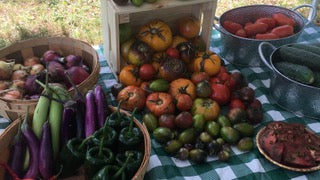 Locally grown abundance 