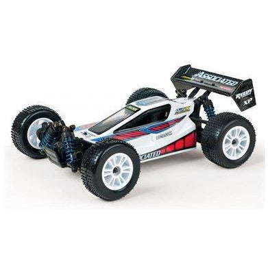 team associated rtr buggy