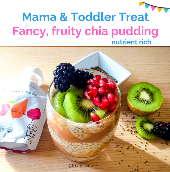 healthy chia seed pudding recipe