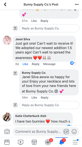 rabbit lovers necklace from facebook or instagram social media positive reviews