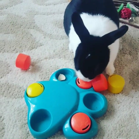 rabbit puzzle toy