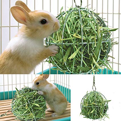 pet bunny toys