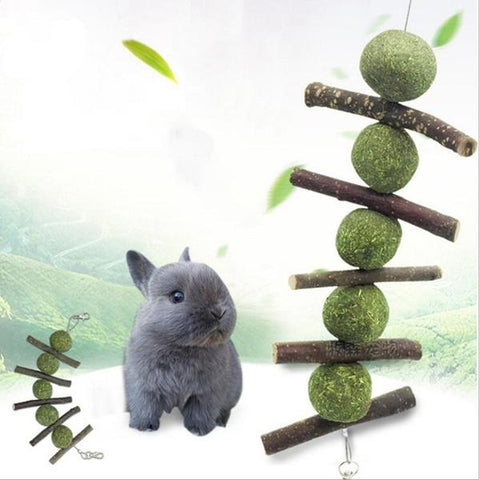 hanging treat toy for bunnies or rabbits 2019 - Bunny supply Co.