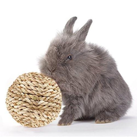 healthy chew toys for rabbits