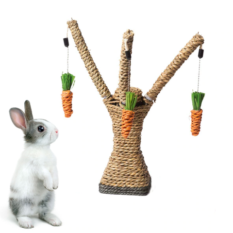 interactive bunny toys