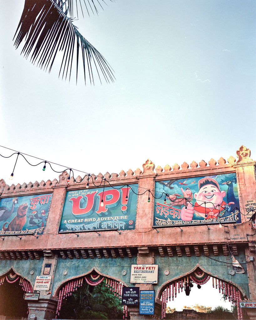 Up Bird Show at Animal Kingdom 120 film Portra 400, shot on Mamiya 7 medium format Camera.