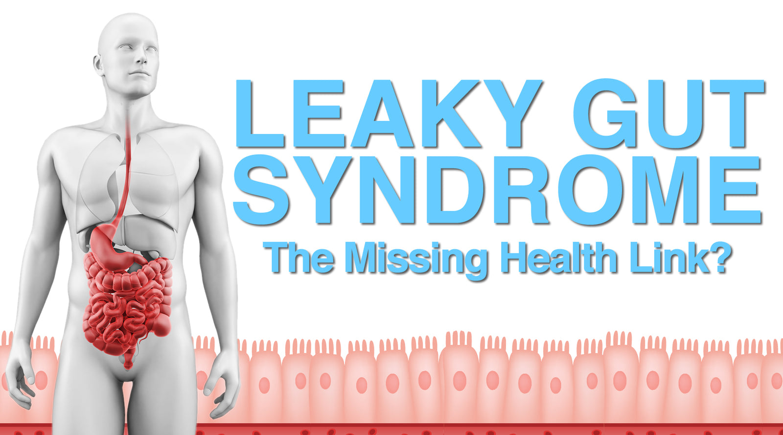 Leaky gut syndrome исследования